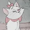 Teffy ₊˚⊹♡