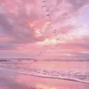 ngockim7093