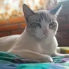 martinezyuraima.0101