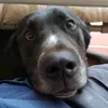 feicash