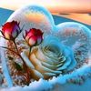 user1997851618582
