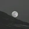 nightnight.1996