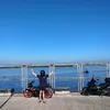 pauldo029