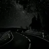 d1aisie