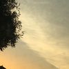 just_meadow24