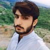 malikshafqatawan179