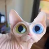 svet_8_okoshke