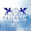 pegasuspropertygroup