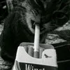 47_its_me_just_me_47