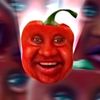 wdyjgkys