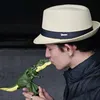 darlanbrocca