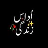 Udaas Zindagi