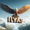ilyas.302.2