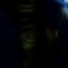 xluy_lin