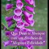 rlk_mauroguima