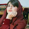 123456hayat6