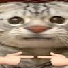phonthepchitngamy