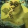 yaboyshreky