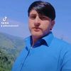 dilawerahmadzi5
