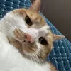 arthur_2912