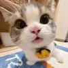nqt.nhi