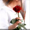 soul_u34
