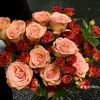 l.nguyn.an.pht