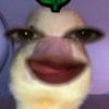 ylkui00