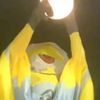 aseelbazzar635