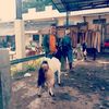 rizalrizki927