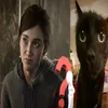 jelliesgf