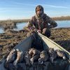 carterlanders_