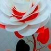 user5022800234127doctara