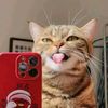donymahendra.79_