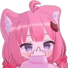 Khánh meo meo 😺😺😺