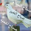 ahmed156902