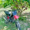 bisri.mustofa465