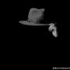 user3431013042022