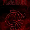 fernandasouzaoliveira46