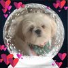 charliesmom317