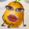 nessaastiza