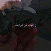 nesozaid356