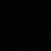 _1serberin1_