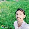 bilawalarain19