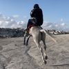 mahmod.saeedy