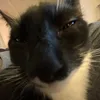 nuiskismaiskis