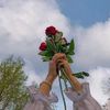 saina_alhbeba