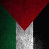 ashrafahmed1741