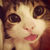 ilovedumplings15