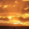 lichu_76
